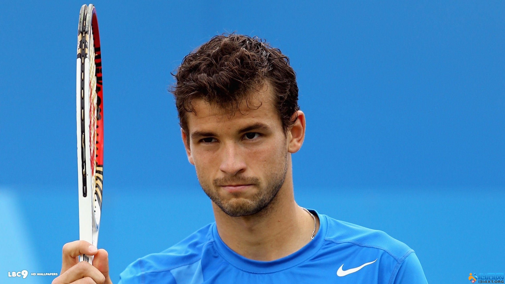 本赛季各项 本赛季各项