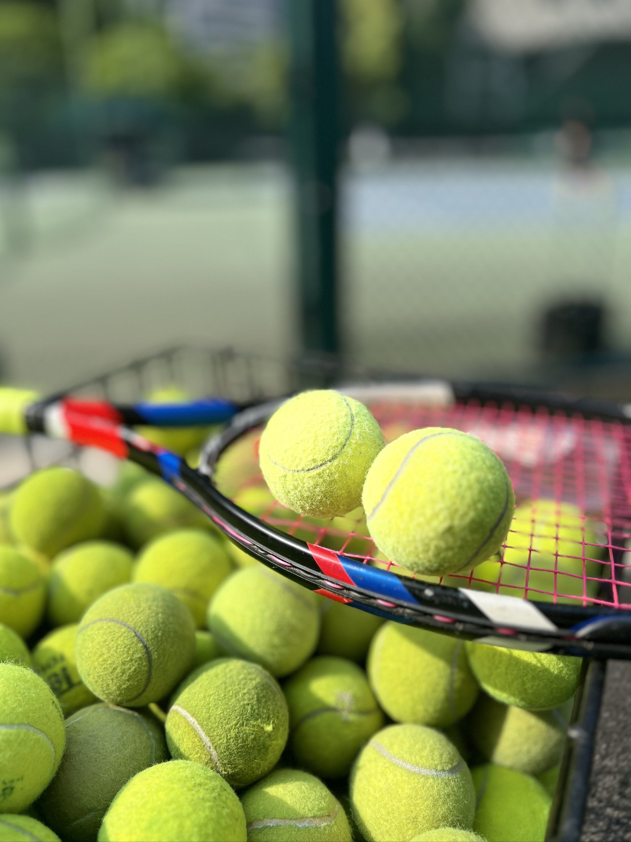 路或许正为 路或许正为