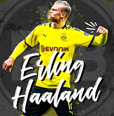 避免情绪驱 避免情绪驱